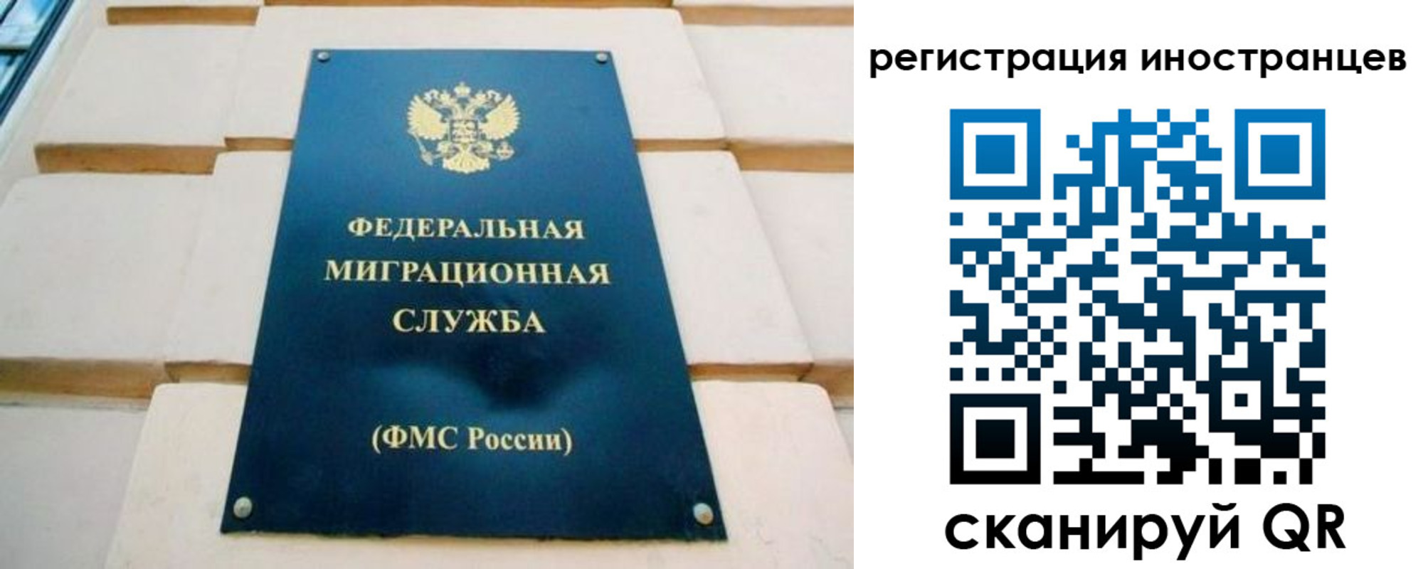 форма 3 в Мурманской области